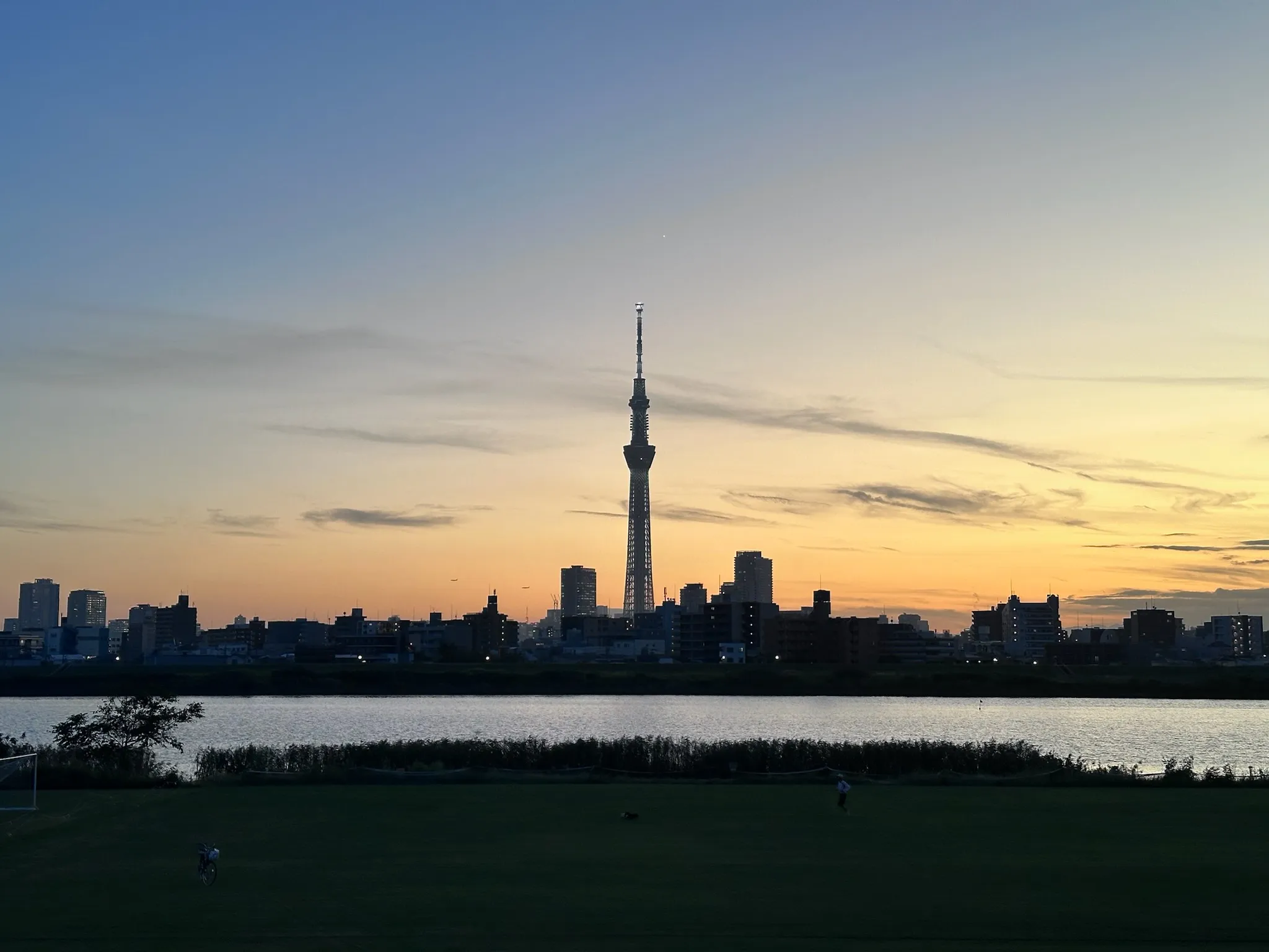 Tokyo Skytree in the skyline during sunset